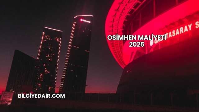 Osimhen Maliyeti 2025