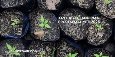 Özel Ağaçlandırma Projesi Maliyeti 2025