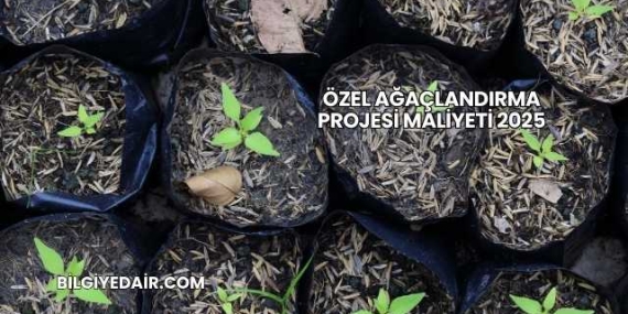 Özel Ağaçlandırma Projesi Maliyeti 2025