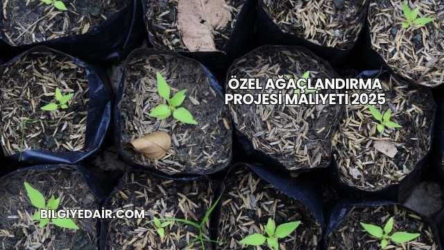 Özel Ağaçlandırma Projesi Maliyeti 2025