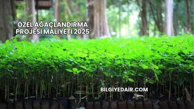 Özel Ağaçlandırma Projesi Maliyeti 2025