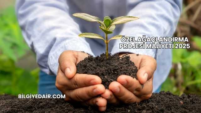 Özel Ağaçlandırma Projesi Maliyeti 2025