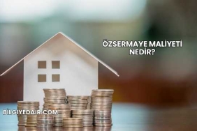 Özsermaye Maliyeti Nedir?