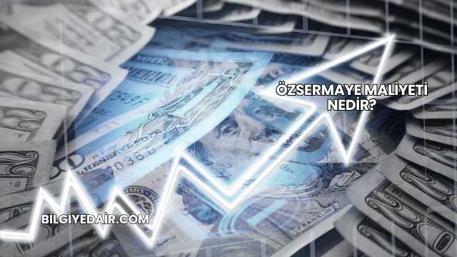 Özsermaye Maliyeti Nedir?