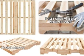 Palet Üretim Tesisi Maliyeti 2025