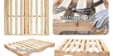 Palet Üretim Tesisi Maliyeti 2025