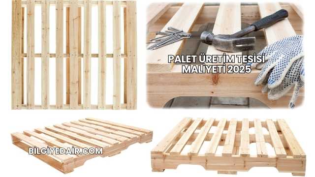 Palet Üretim Tesisi Maliyeti 2025