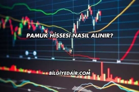 Pamuk Hissesi Nasıl Alınır?