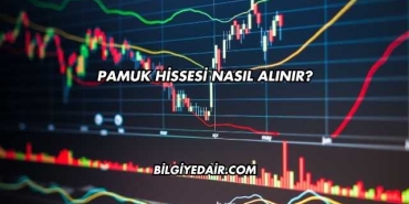 Pamuk Hissesi Nasıl Alınır?
