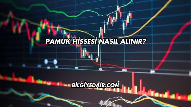 Pamuk Hissesi Nasıl Alınır?