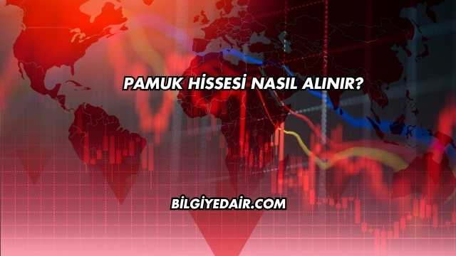 Pamuk Hissesi Nasıl Alınır?