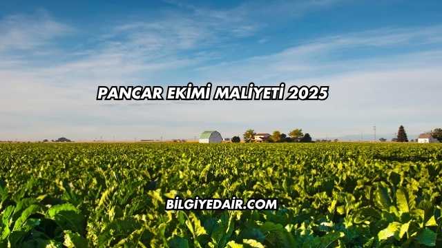 Pancar Ekimi Maliyeti 2025