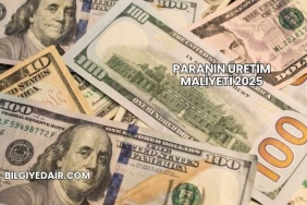 Paranın Üretim Maliyeti 2025