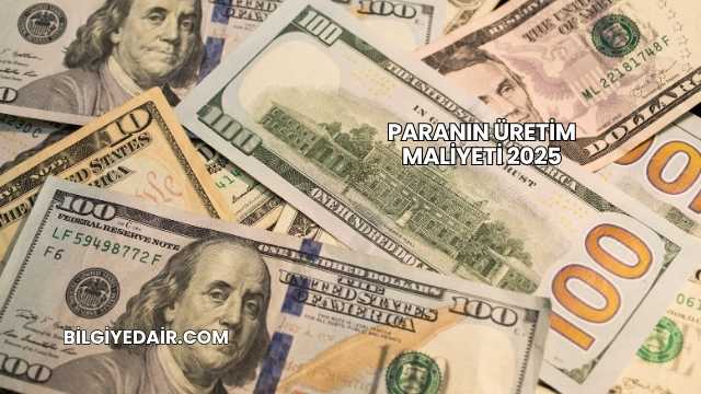 Paranın Üretim Maliyeti 2025