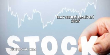 Pay Senedi Maliyeti 2025