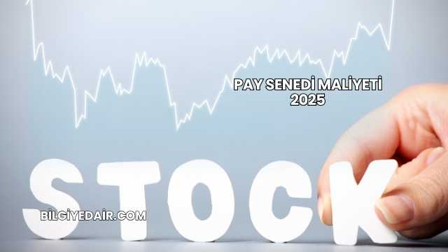 Pay Senedi Maliyeti 2025