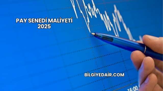 Pay Senedi Maliyeti 2025