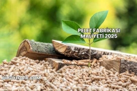 Pelet Fabrikası Maliyeti 2025