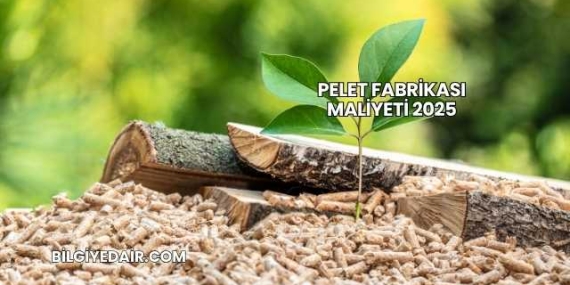 Pelet Fabrikası Maliyeti 2025