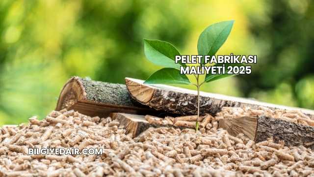 Pelet Fabrikası Maliyeti 2025
