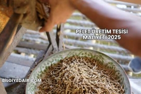 Pelet Üretim Tesisi Maliyeti 2025