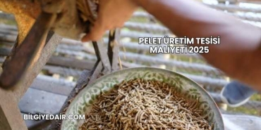 Pelet Üretim Tesisi Maliyeti 2025
