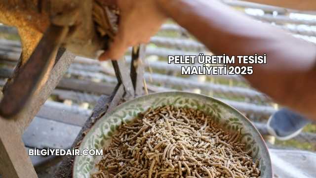 Pelet Üretim Tesisi Maliyeti 2025