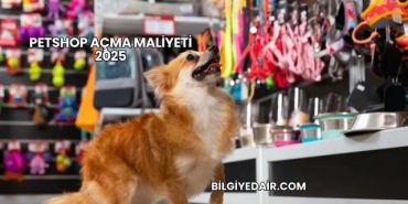 Petshop Açma Maliyeti 2025