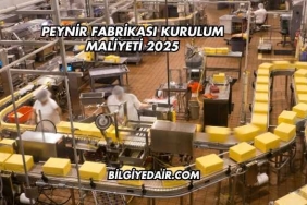 Peynir Fabrikası Kurulum Maliyeti 2025