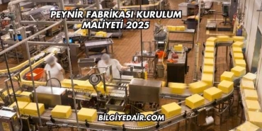 Peynir Fabrikası Kurulum Maliyeti 2025