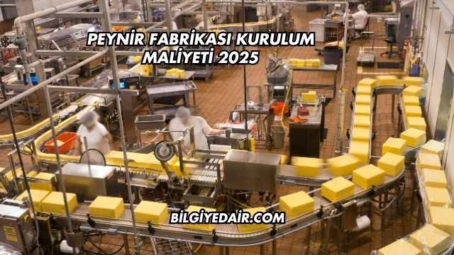 Peynir Fabrikası Kurulum Maliyeti 2025