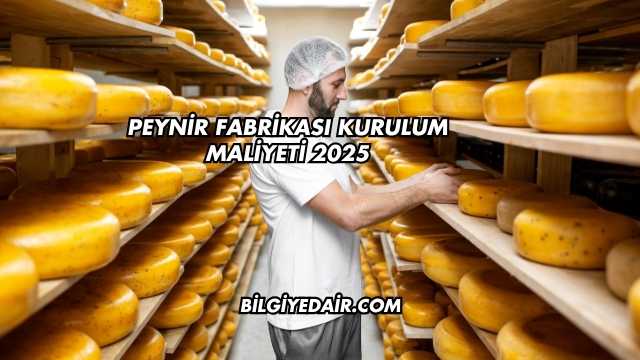Peynir Fabrikası Kurulum Maliyeti 2025