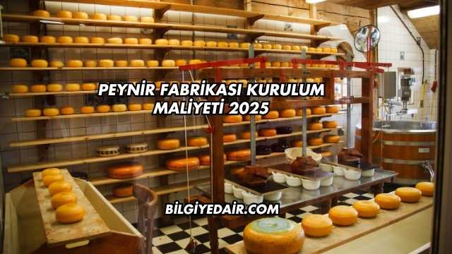Peynir Fabrikası Kurulum Maliyeti 2025