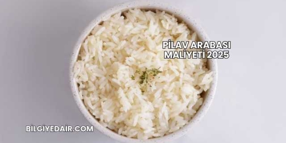 Pilav Arabası Maliyeti 2025