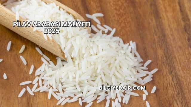 Pilav Arabası Maliyeti 2025