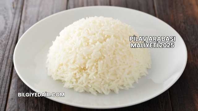 Pilav Arabası Maliyeti 2025