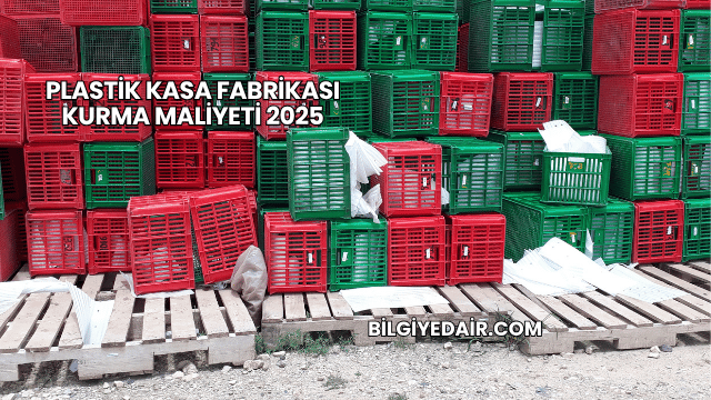 Plastik Kasa Fabrikası Kurma Maliyeti 2025