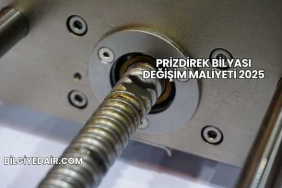 Prizdirek Bilyası Değişim Maliyeti 2025