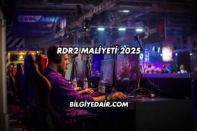 RDR2 Maliyeti 2025