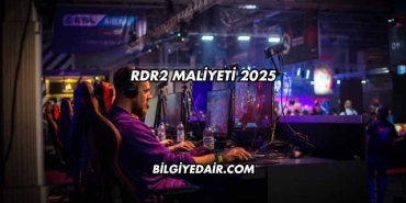 RDR2 Maliyeti 2025