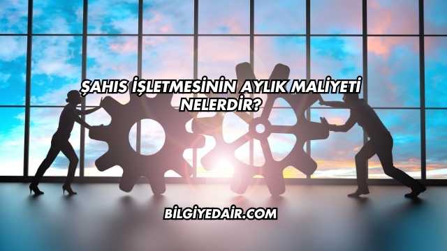 Şahıs İşletmesinin Aylık Maliyeti Nelerdir?