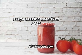 Salça Fabrikası Maliyeti 2025
