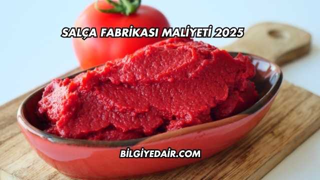 Salça Fabrikası Maliyeti 2025