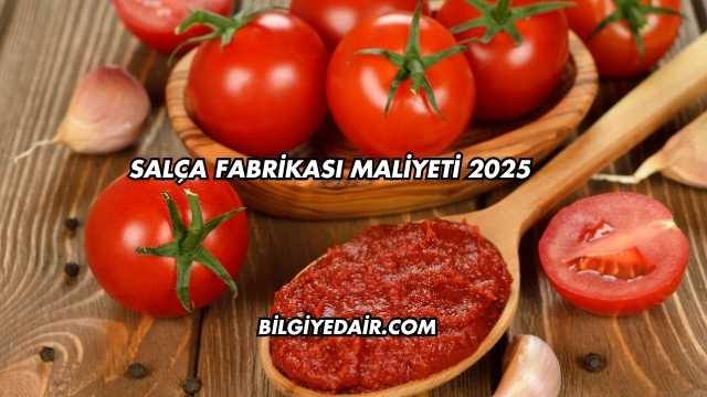 Salça Fabrikası Maliyeti 2025