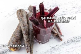 Şalgam Üretim Tesisi Maliyeti 2025