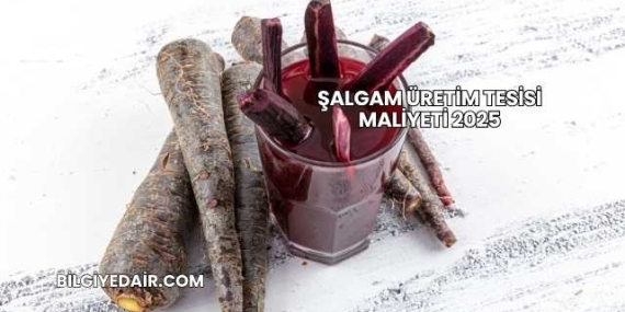 Şalgam Üretim Tesisi Maliyeti 2025