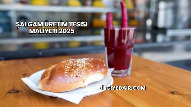 Şalgam Üretim Tesisi Maliyeti 2025