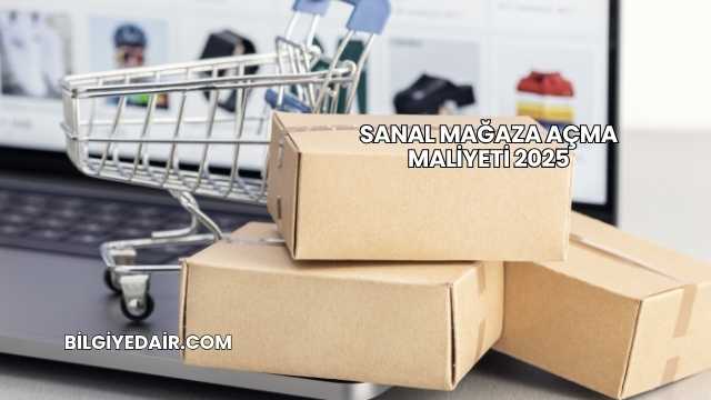 Sanal Mağaza Açma Maliyeti 2025