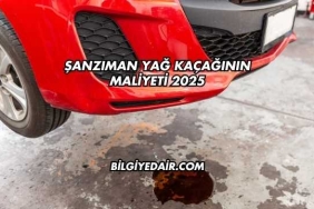 Şanzıman Yağ Kaçağının Maliyeti 2025