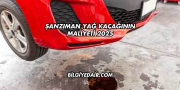 Şanzıman Yağ Kaçağının Maliyeti 2025
